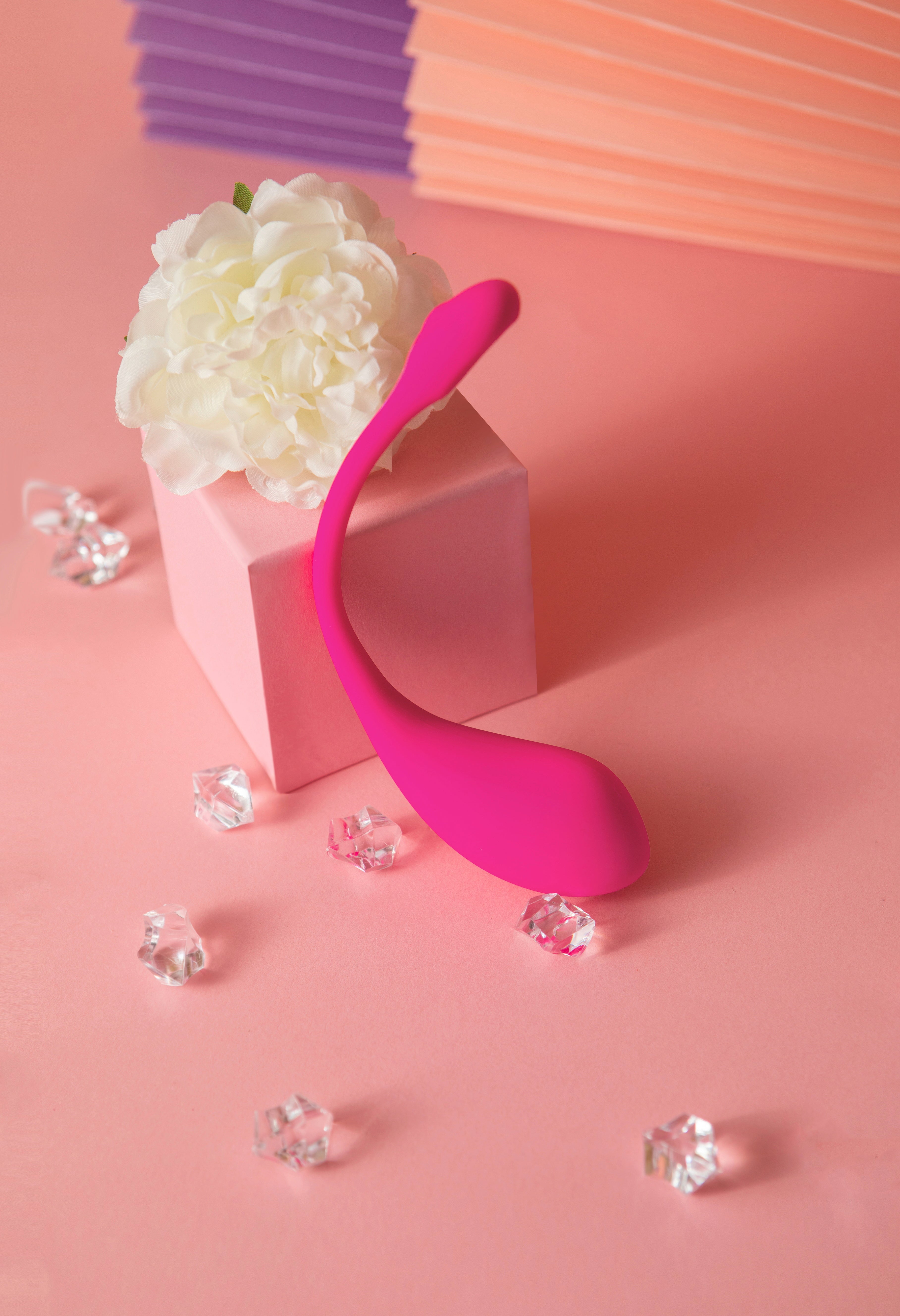 LOVENSE | Lush 2